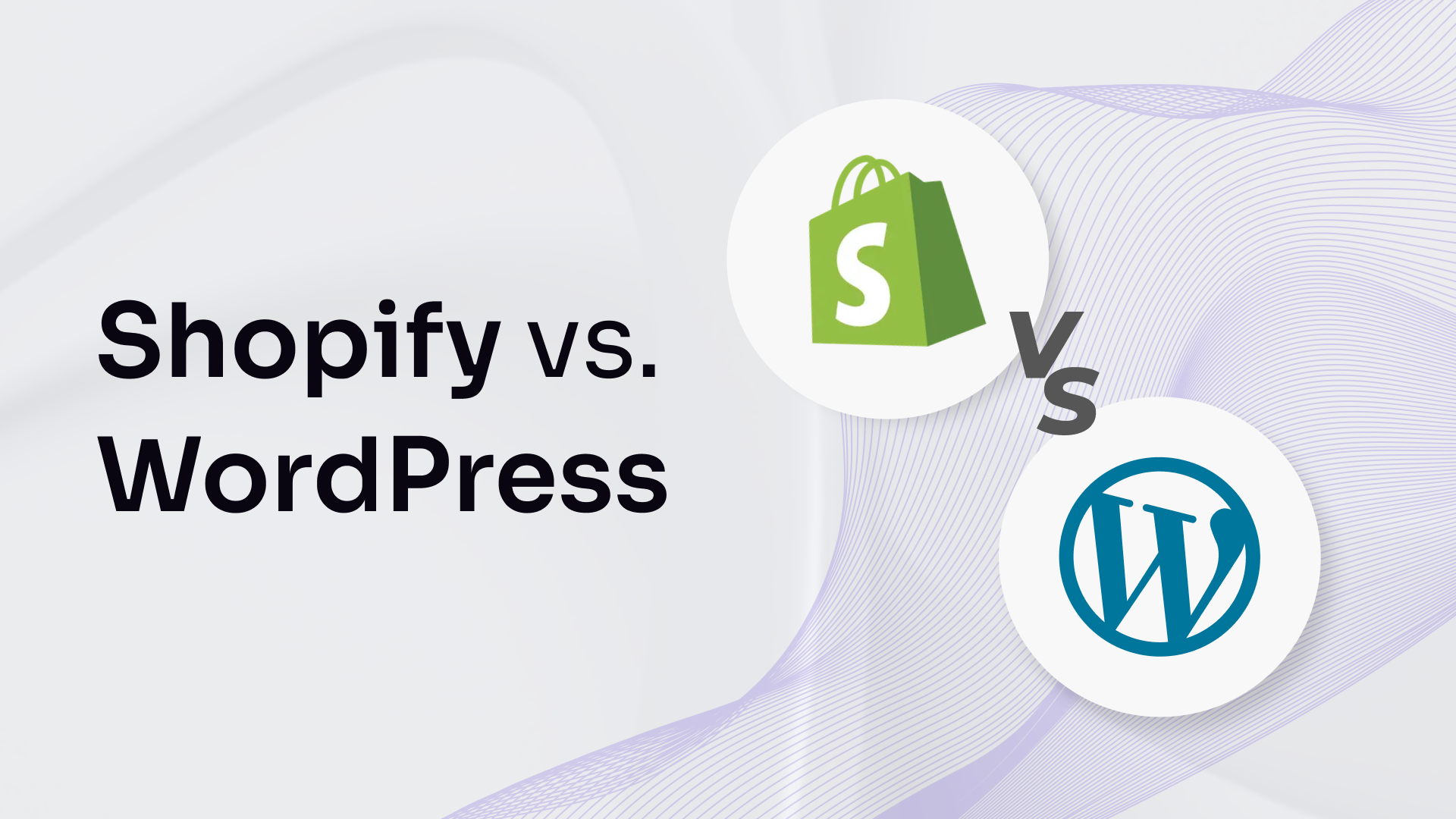 Shopify & WordPress