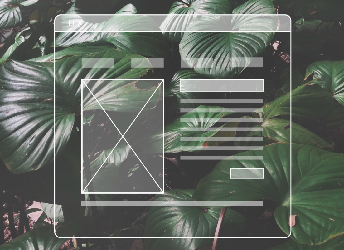 wordpress nulled themes