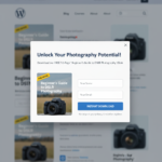 Lead Capture in WordPress lead capture wordpress