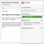 Setting Focus Keyphrase in WordPress cover-image-6115